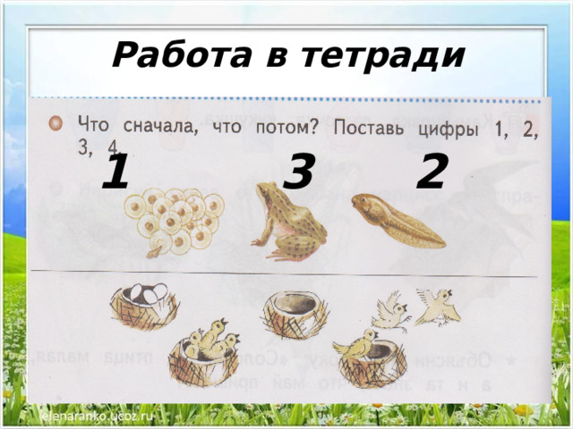 Работа в тетради 1 3 2 