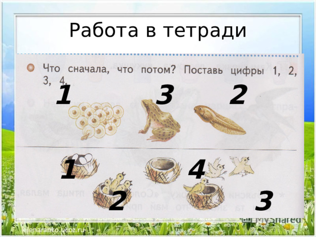 Работа в тетради 1 3 2  1 4  2 3 
