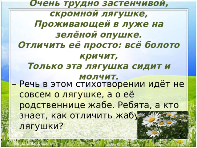 Очень трудно застенчивой, скромной лягушке,  Проживающей в луже на зелёной опушке.  Отличить её просто: всё болото кричит,  Только эта лягушка сидит и молчит.   – Речь в этом стихотворении идёт не совсем о лягушке, а о её родственнице жабе. Ребята, а кто знает, как отличить жабу от лягушки? 