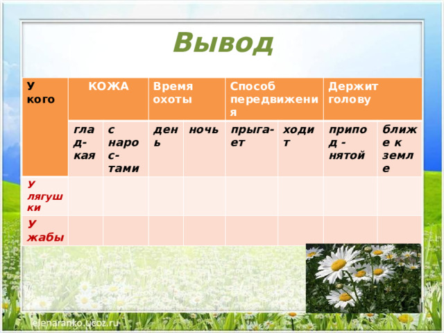 Вывод У кого КОЖА У лягушки глад-кая Время охоты У жабы с нарос-тами день Способ передвижения ночь прыга-ет Держит голову ходит припод -нятой ближе к земле 
