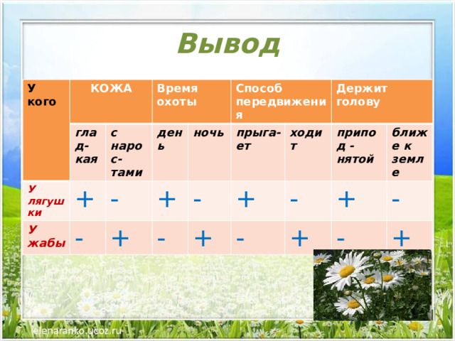 Вывод У кого КОЖА У лягушки глад-кая Время охоты + У жабы с нарос-тами - - день + Способ передвижения ночь + прыга-ет - - Держит голову + ходит + - припод -нятой - + + ближе к земле - - + 