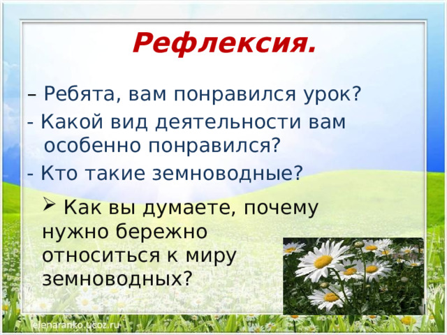 Рефлексия. – Ребята, вам понравился урок? - Какой вид деятельности вам особенно понравился? - Кто такие земноводные?   Как вы думаете, почему нужно бережно относиться к миру земноводных? 