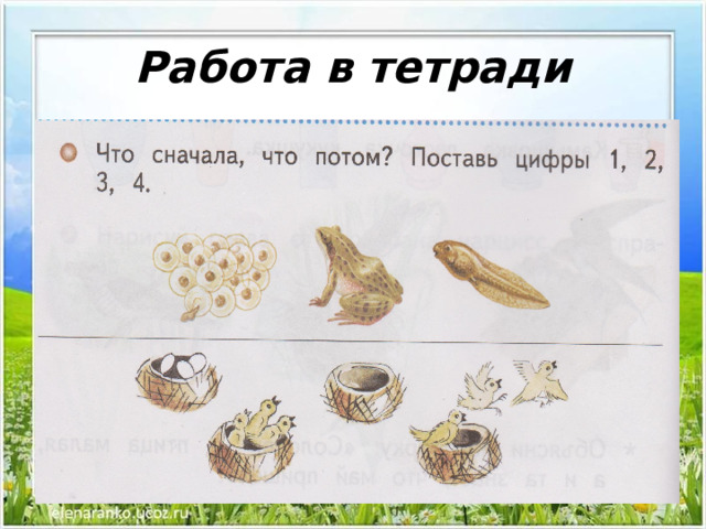 Работа в тетради 