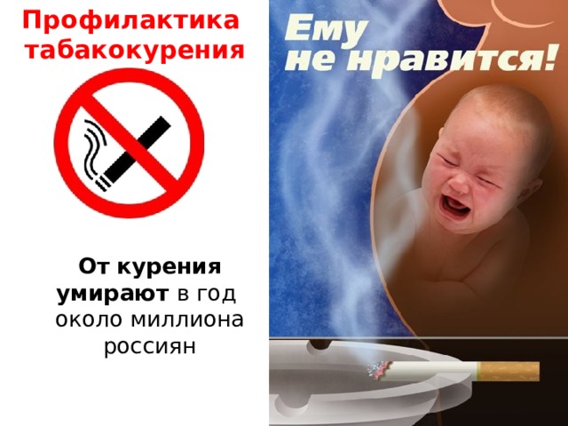 Профилактика табакокурения От   курения умирают в год  около миллиона россиян 