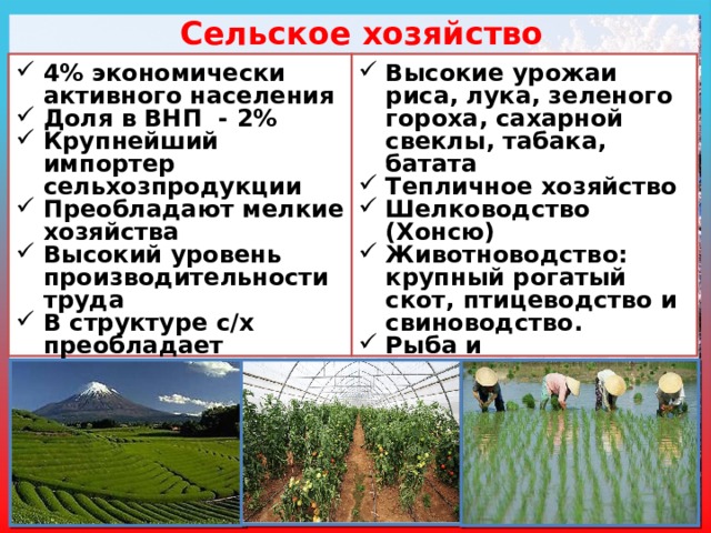 Сельское хозяйство 4% экономически активного населения Доля в ВНП - 2% Крупнейший импортер сельхозпродукции Преобладают мелкие хозяйства Высокий уровень производительности труда В структуре с/х преобладает растениеводство Обрабатываемые площади - 9% Высокие урожаи риса, лука, зеленого гороха, сахарной свеклы, табака, батата Тепличное хозяйство Шелководство (Хонсю) Животноводство: крупный рогатый скот, птицеводство и свиноводство. Рыба и морепродукты – 4 м  На человека - 168 кг рыбы/год Аквакультура - искусственное выращивание рыбы и морепродуктов 