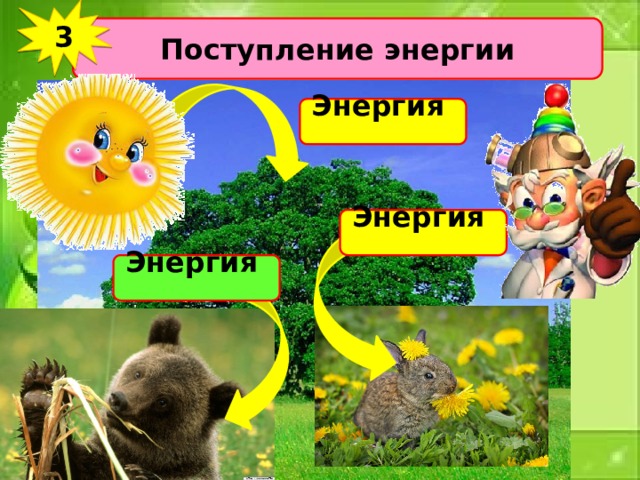 3 Поступление энергии Энергия Энергия Энергия 