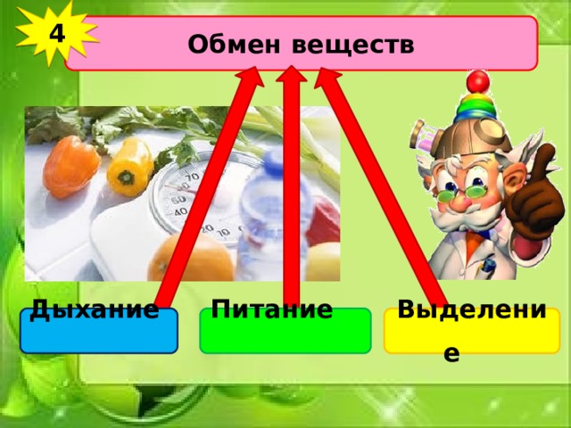 4 Обмен веществ Дыхание   Питание   Выделение   
