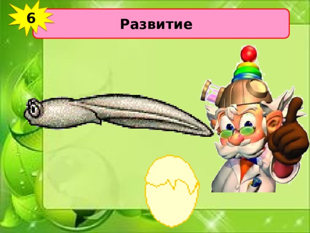 6 Развитие 