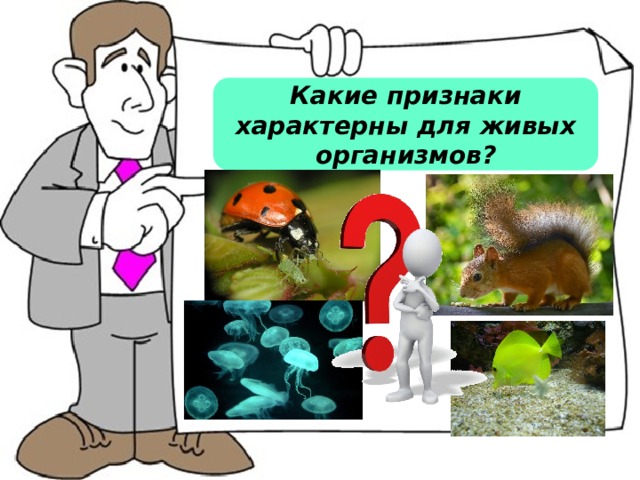 Какие признаки характерны для живых организмов? 