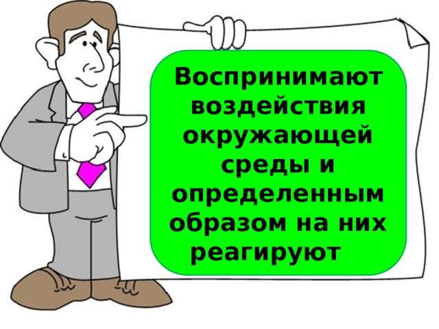 Воспринимают воздействия окружающей среды и определенным образом на них реагируют  