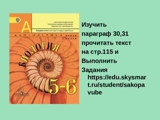 Изучить параграф 30,31 прочитать текст на стр.115 и Выполнить Задания https://edu.skysmart.ru/student/sakopavube 