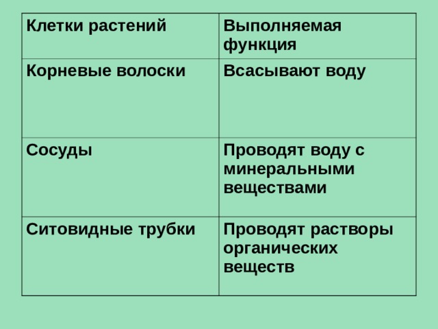 Клетки растений Выполняемая функция Корневые волоски Всасывают воду Сосуды Проводят воду с минеральными веществами Ситовидные трубки Проводят растворы органических веществ 
