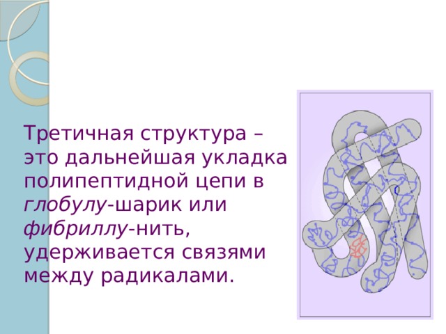 Третичная структура – это дальнейшая укладка полипептидной цепи в глобулу -шарик или фибриллу -нить, удерживается связями между радикалами. 
