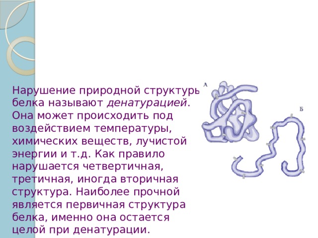 Нарушение природной структуры белка называют денатурацией . Она может происходить под воздействием температуры, химических веществ, лучистой энергии и т.д. Как правило нарушается четвертичная, третичная, иногда вторичная структура. Наиболее прочной является первичная структура белка, именно она остается целой при денатурации. 