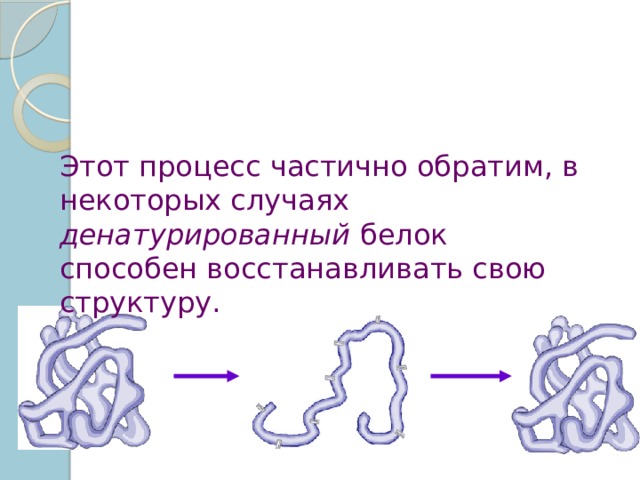 Этот процесс частично обратим, в некоторых случаях денатурированный белок способен восстанавливать свою структуру. 