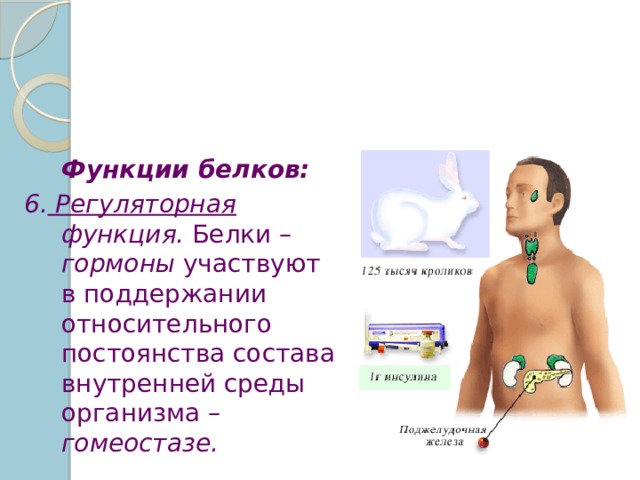  Функции белков: 6. Регуляторная функция. Белки – гормоны участвуют в поддержании относительного постоянства состава внутренней среды организма – гомеостазе. 