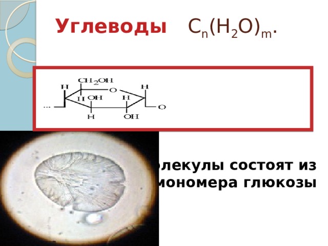 Углеводы C n (H 2 O) m . Молекулы состоят из мономера глюкозы 
