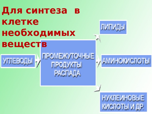 Для синтеза в клетке необходимых веществ 