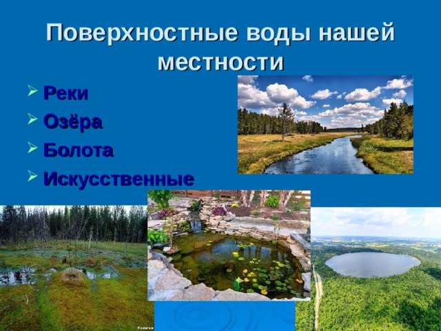 Поверхностные воды нашей местности Реки Озёра Болота Искусственные 