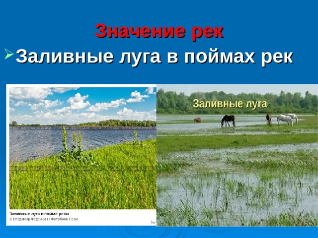 Значение рек Заливные луга в поймах рек 