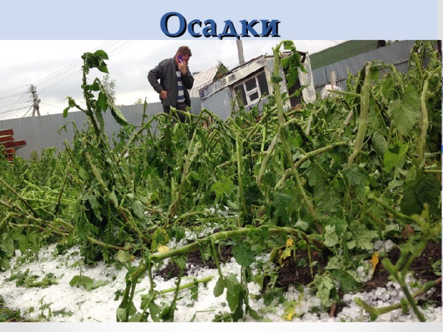Осадки Отсутствие (засуха)  Обильные дожди  Снегопады  Град 