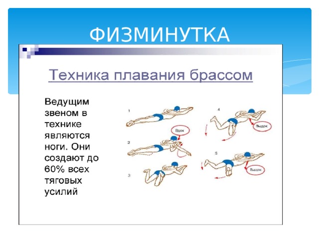 ФИЗМИНУТКА 
