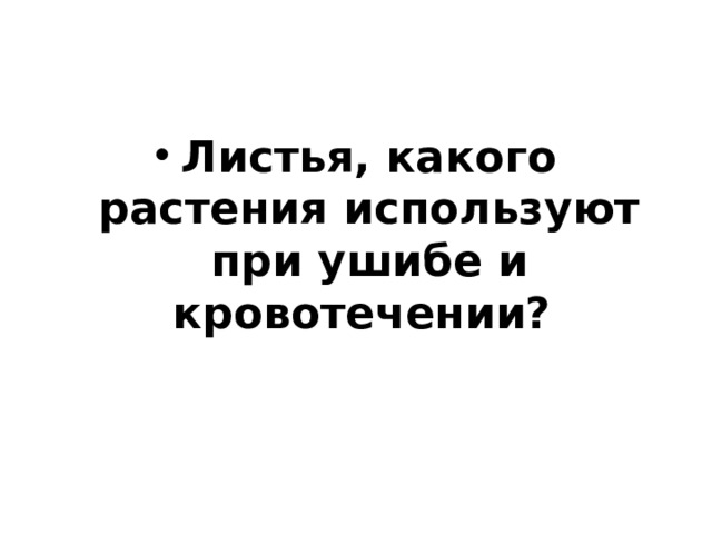 Листья, какого растения используют при ушибе и кровотечении? 