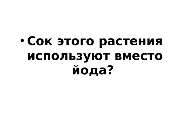 Сок этого растения используют вместо йода?  