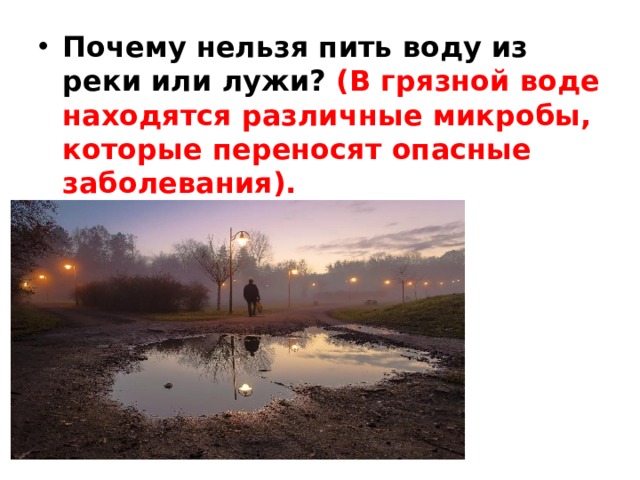 Почему нельзя пить воду из реки или лужи? (В грязной воде находятся различные микробы, которые переносят опасные заболевания). 
