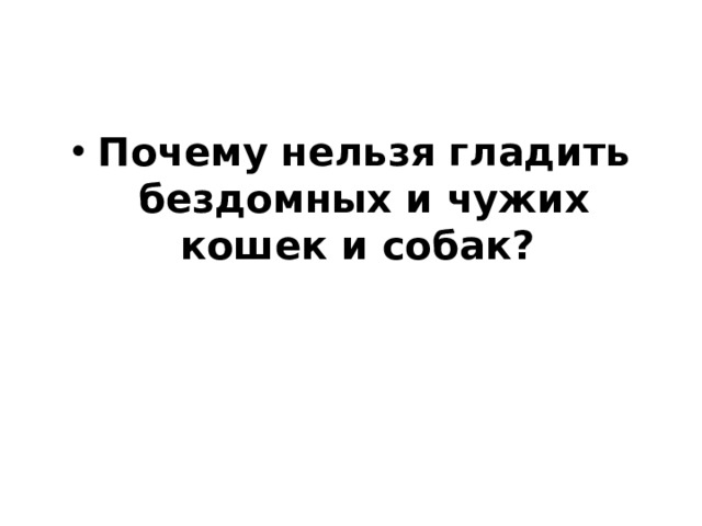 Почему нельзя гладить бездомных и чужих кошек и собак? 