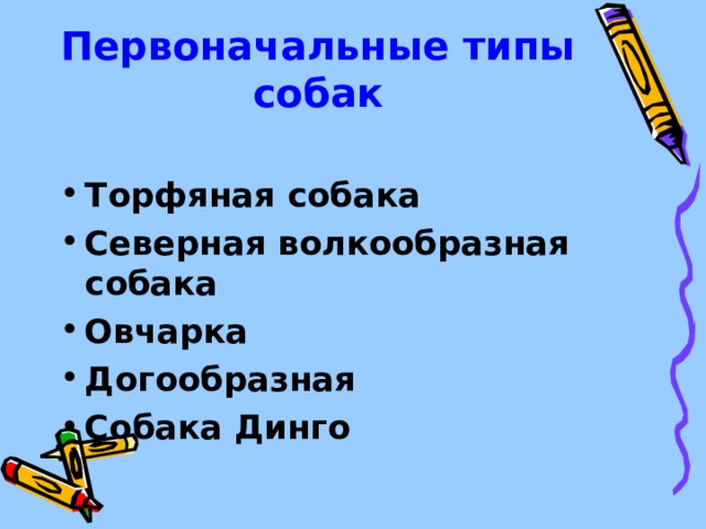 Первоначальные типы собак Торфяная собака Северная волкообразная собака Овчарка Догообразная Собака Динго 