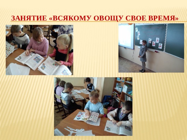 Занятие «Всякому овощу свое время» 