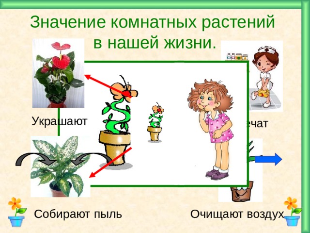 Значение комнатных растений  в нашей жизни. Украшают Лечат Собирают пыль Очищают воздух
