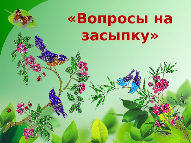 «Вопросы на засыпку» 