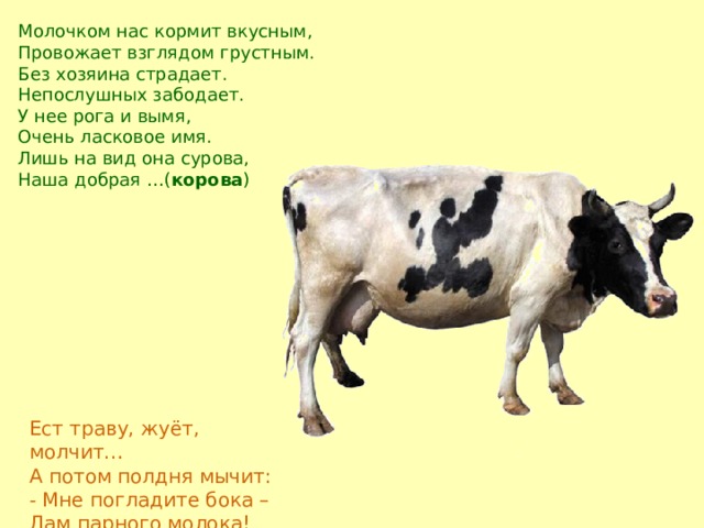 Молочком нас кормит вкусным,  Провожает взглядом грустным.  Без хозяина страдает.  Непослушных забодает.  У нее рога и вымя,  Очень ласковое имя.  Лишь на вид она сурова,  Наша добрая …( корова ) Ест траву, жуёт, молчит…  А потом полдня мычит:  - Мне погладите бока –  Дам парного молока! 