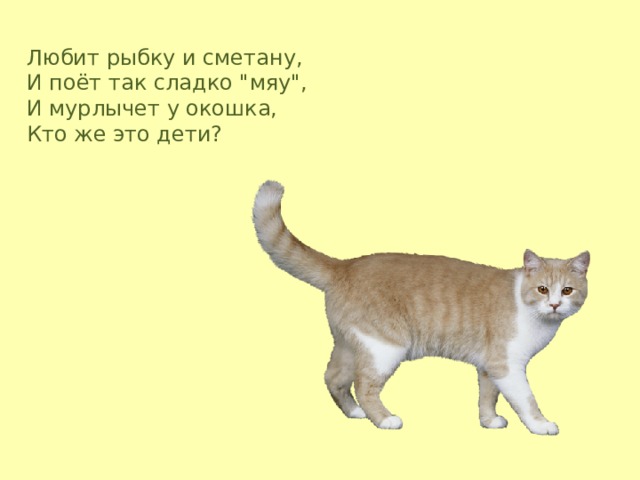 Любит рыбку и сметану,  И поёт так сладко 