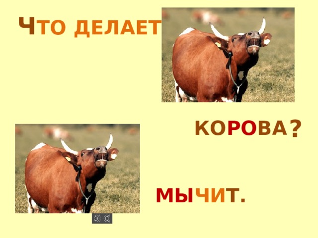 Ч ТО  ДЕЛАЕТ ? КО РО ВА МЫ ЧИ Т. 