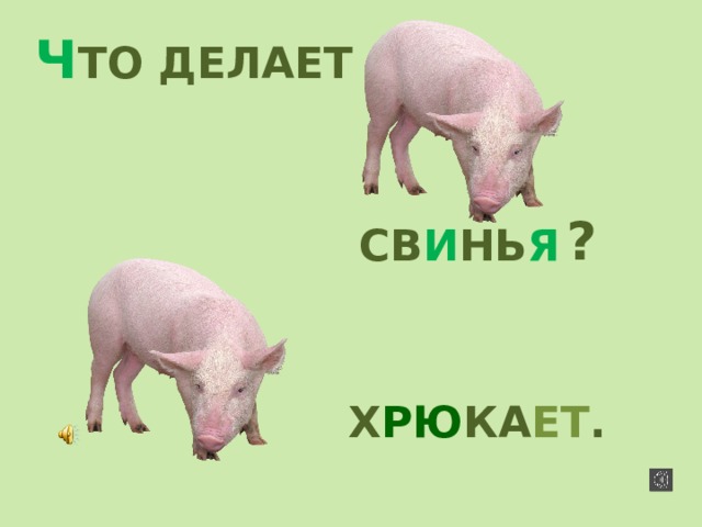 Ч ТО ДЕЛАЕТ ? СВ И НЬ Я Х РЮ КА ЕТ . 