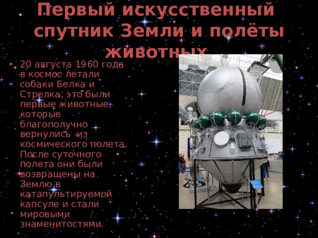 Первый искусственный  спутник Земли и полёты животных  20 августа 1960 года в космос летали собаки Белка и Стрелка, это были первые животные, которые благополучно вернулись из космического полета. После суточного полета они были возвращены на Землю в катапультируемой капсуле и стали мировыми знаменитостями. 