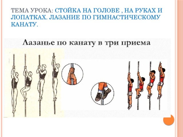 Тема урока: Стойка на голове , на руках и лопатках. Лазание по гимнастическому канату. 