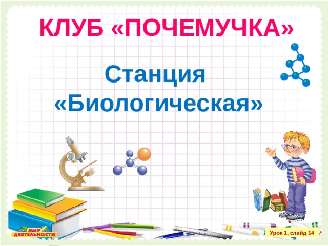 КЛУБ «ПОЧЕМУЧКА» Станция «Биологическая» Урок 1, слайд 14 