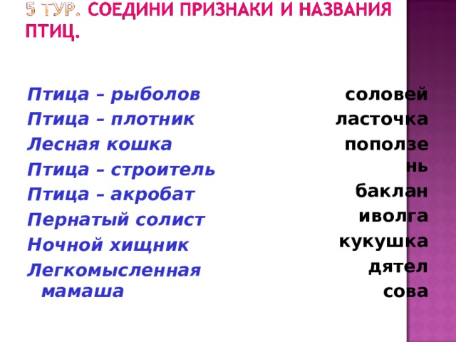 Птица – рыболов Птица – плотник Лесная кошка Птица – строитель Птица – акробат Пернатый солист Ночной хищник Легкомысленная мамаша соловей ласточка поползень баклан иволга кукушка дятел сова   