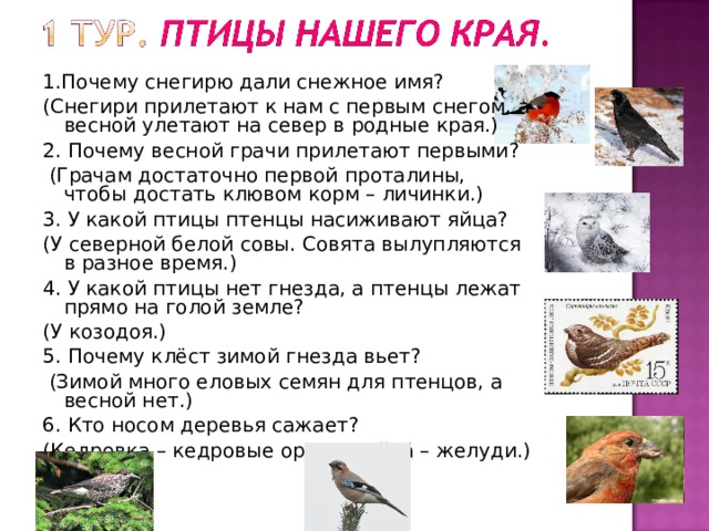 1.Почему снегирю дали снежное имя? (Снегири прилетают к нам с первым снегом, а весной улетают на север в родные края.) 2. Почему весной грачи прилетают первыми?  (Грачам достаточно первой проталины, чтобы достать клювом корм – личинки.) 3. У какой птицы птенцы насиживают яйца? (У северной белой совы. Совята вылупляются в разное время.) 4. У какой птицы нет гнезда, а птенцы лежат прямо на голой земле? (У козодоя.) 5. Почему клёст зимой гнезда вьет?  (Зимой много еловых семян для птенцов, а весной нет.) 6. Кто носом деревья сажает? (Кедровка – кедровые орехи, сойка – желуди.) 