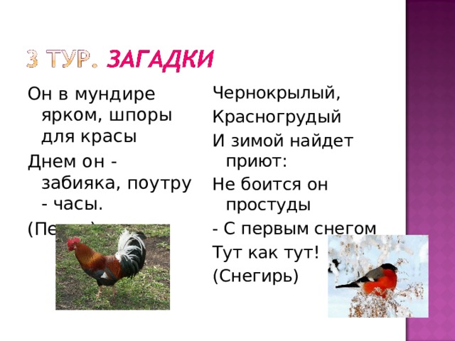 Он в мундире ярком, шпоры для красы Днем он - забияка, поутру - часы. (Петух) Чернокрылый, Красногрудый И зимой найдет приют: Не боится он простуды - С первым снегом Тут как тут! (Снегирь) 