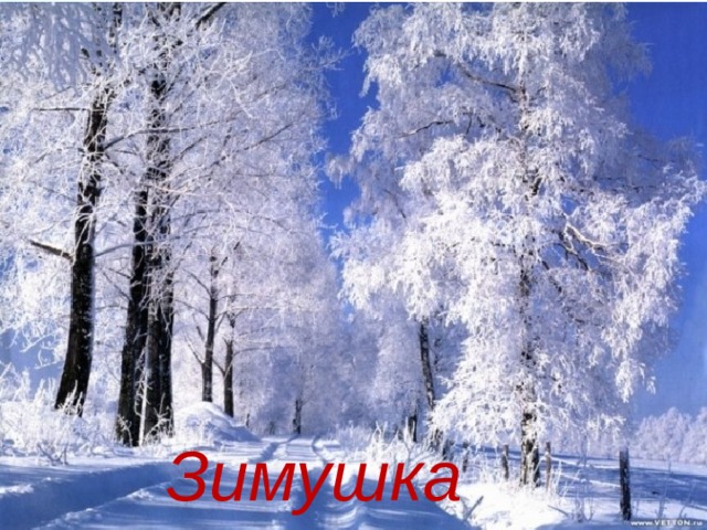   Зимушка 