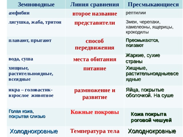 Земноводные Линия сравнения амфибии Пресмыкающиеся второе название лягушка, жаба, тритон представители рептилии плавают, прыгают Змеи, черепахи, хамелеоны, ящерицы, крокодилы способ передвижения вода, суша места обитания Пресмыкаются, ползают хищные, растительноядные, всеядные питание икра – головастик-взрослое животное размножение и развитие Хищные, растительноядныевсеядные Голая кожа, покрытая слизью Яйца, покрытые оболочкой. На суше Кожные покровы Температура тела Жаркие, сухие страны Кожа покрыта роговой чешуей Холоднокровные Холоднокровные 