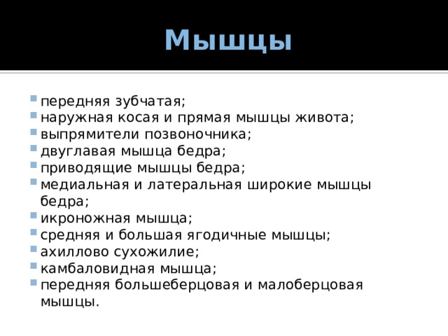  Мышцы передняя зубчатая; наружная косая и прямая мышцы живота; выпрямители позвоночника; двуглавая мышца бедра; приводящие мышцы бедра; медиальная и латеральная широкие мышцы бедра; икроножная мышца; средняя и большая ягодичные мышцы; ахиллово сухожилие; камбаловидная мышца; передняя большеберцовая и малоберцовая мышцы. 