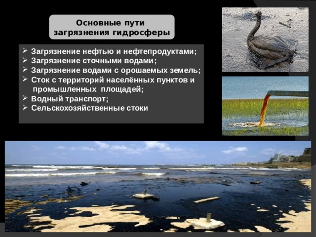 Основные пути загрязнения гидросферы Загрязнение нефтью и нефтепродуктами; Загрязнение сточными водами; Загрязнение водами с орошаемых земель; Сток с территорий населённых пунктов и  промышленных площадей; Водный транспорт; Сельскохозяйственные стоки  