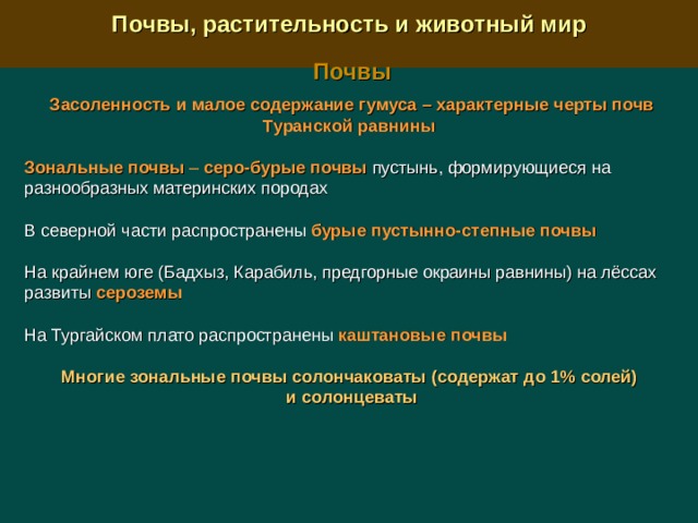  Почвы, растительность и животный мир  Почвы  Засоленность и малое содержание гумуса – характерные черты почв Туранской равнины  Зональные  почвы  – серо-бурые почвы пустынь, формирующиеся на разнообразных материнских породах В северной части распространены бурые пустынно-степные почвы  На крайнем юге (Бадхыз, Карабиль, предгорные окраины равнины) на лёссах развиты сероземы На Тургайском плато распространены  каштановые почвы  Многие зональные почвы солончаковаты (содержат до 1% солей) и солонцеваты   