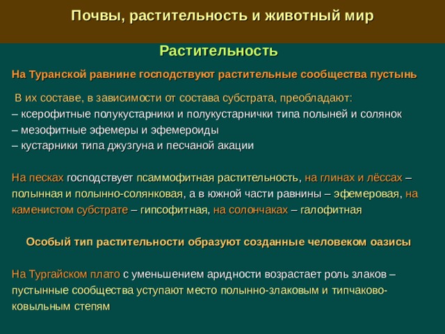  Почвы, растительность и животный мир  Растительность  На Туранской равнине господствуют растительные сообщества пустынь   В их составе, в зависимости от состава субстрата,  преобладают: –  ксерофитные полукустарники и полукустарнички типа полыней и солянок –  мезофитные эфемеры и эфемероиды –  кустарники типа джузгуна и песчаной акации На песках господствует псаммофитная растительность , на глинах и лёссах – полынная и полынно-солянковая , а в южной части равнины – эфемеровая , на каменистом субстрате – гипсофитная , на солончаках – галофитная Особый тип растительности образуют созданные человеком оазисы  На Тургайском плато с уменьшением аридности возрастает роль злаков – пустынные сообщества уступают место полынно-злаковым и типчаково-ковыльным степям 